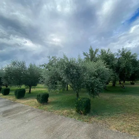 Apartment Olive Podgorica