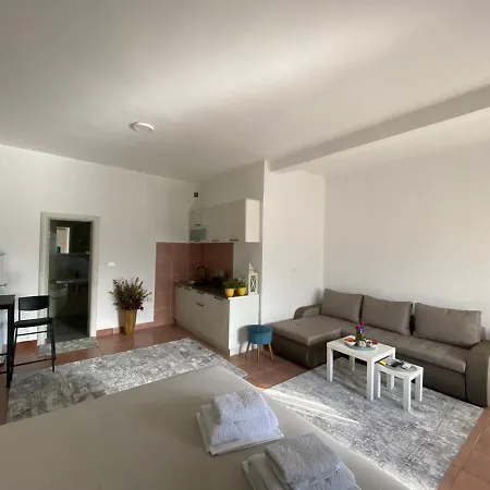 Olive Apartment Podgorica