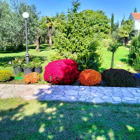 Apartment Olive Podgorica