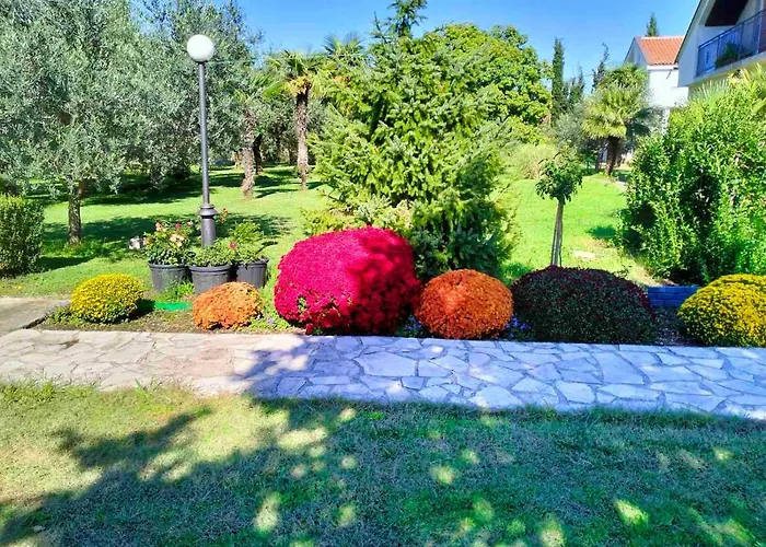 Lejlighed Olive Podgorica