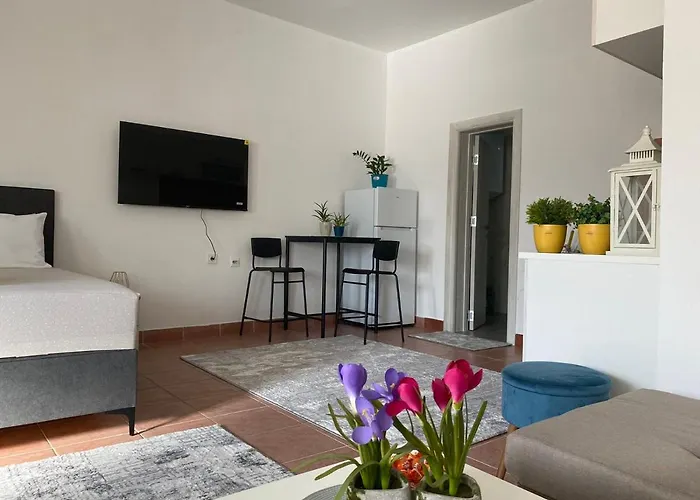 Olive Lejlighed Podgorica