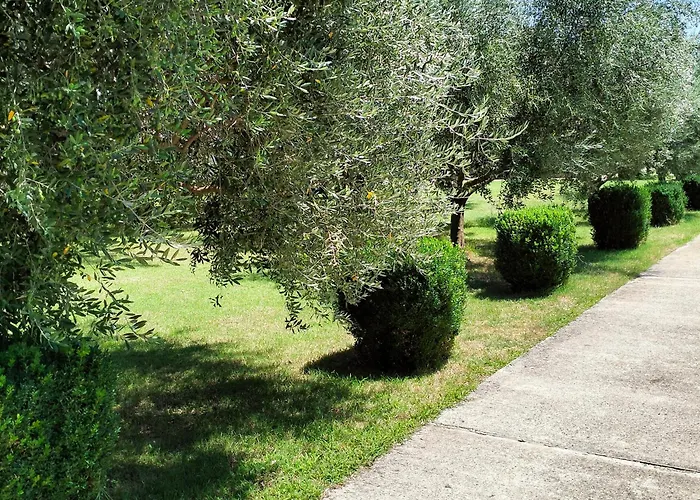 Lejlighed Olive Podgorica